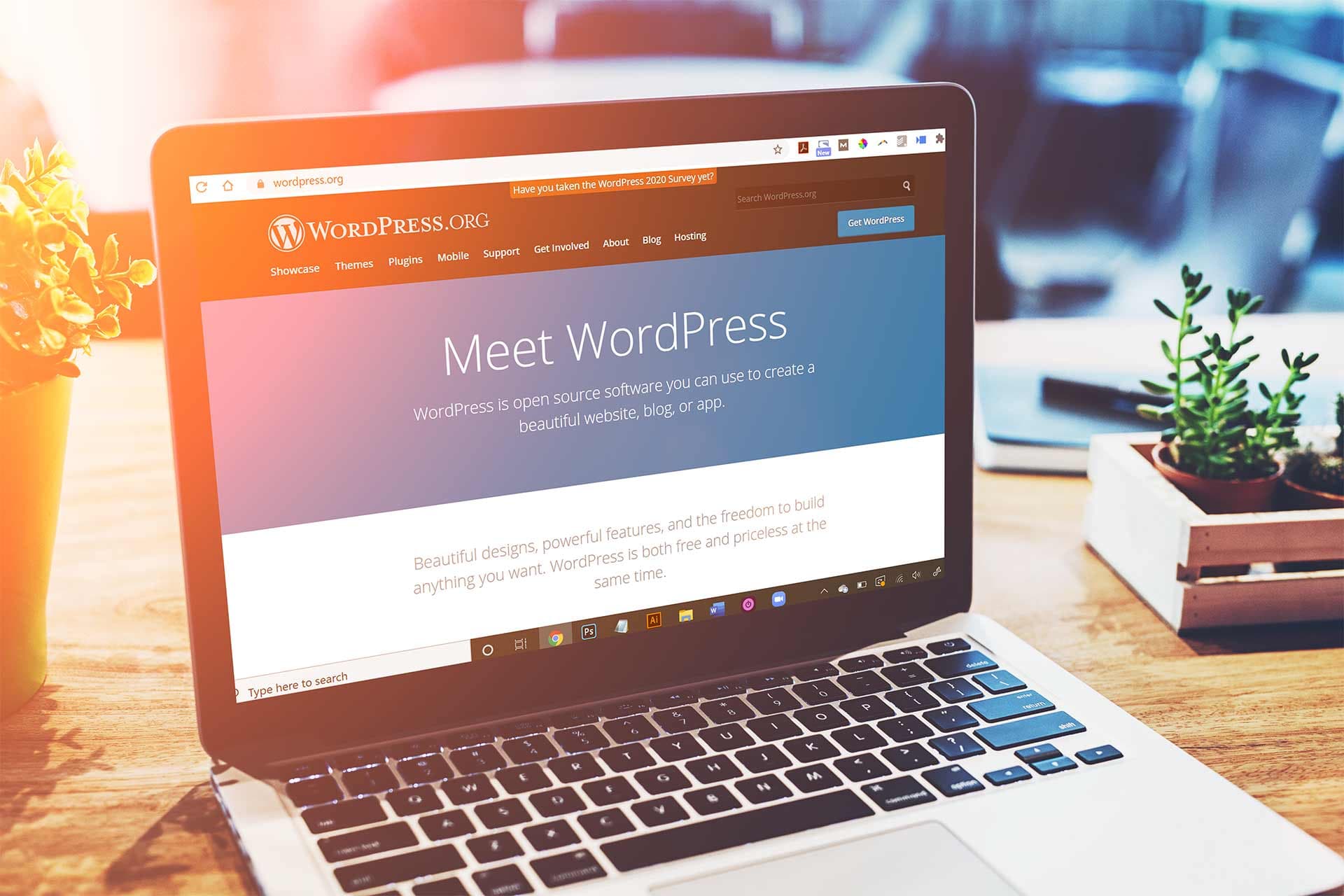 Optimasi Wsbsite Wordpress